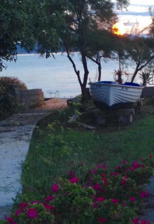 Apartman Lipotica Diklo Zadar Exterior foto